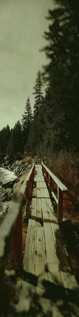 Free aesthetic bookmark featuring a beautiful path and bridge